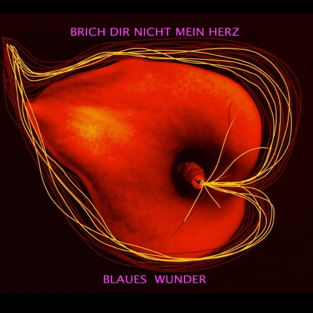 Couverture de Brich dir nicht mein Herz