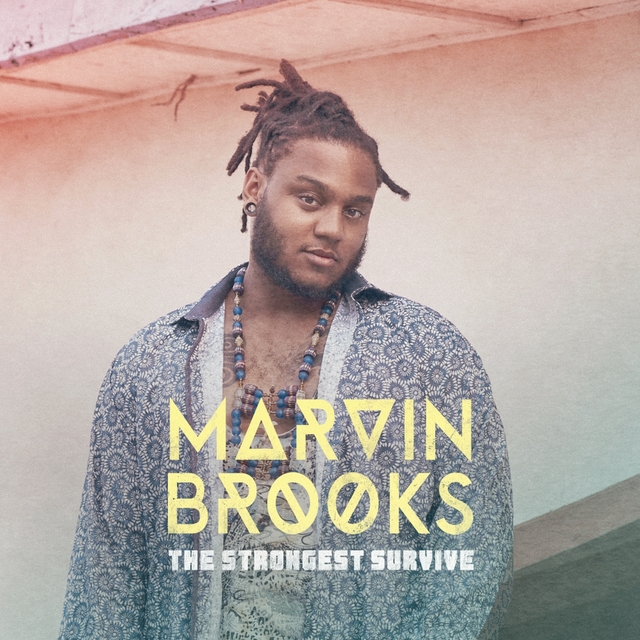 Couverture de The Strongest Survive