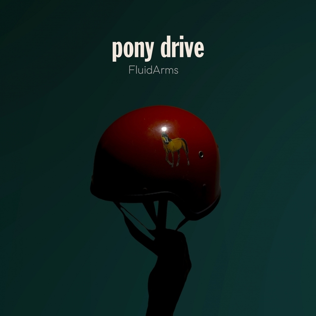 Couverture de Pony Drive