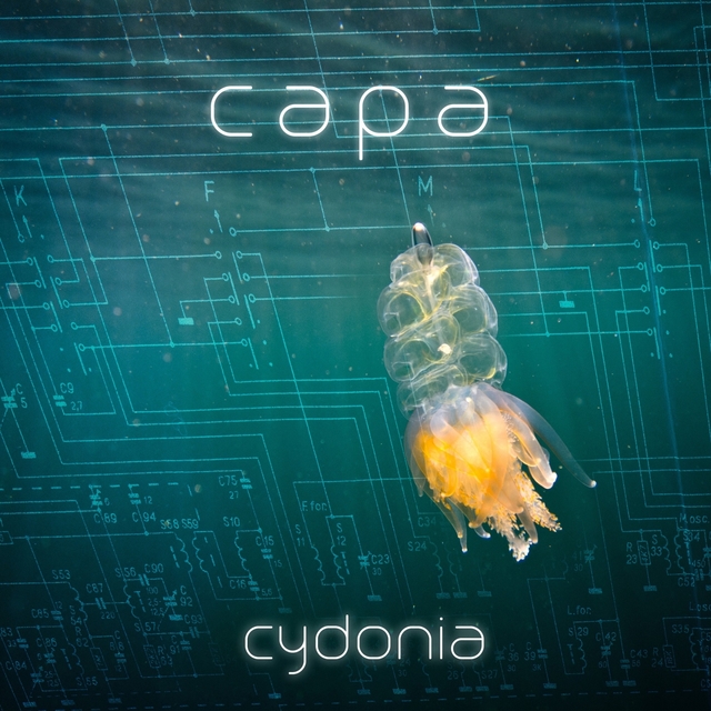 Couverture de Cydonia