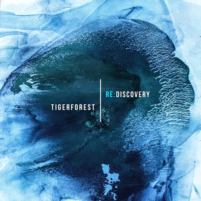 Couverture de Re: Discovery