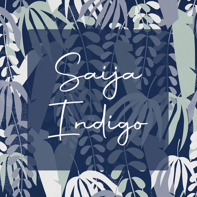 Couverture de Indigo