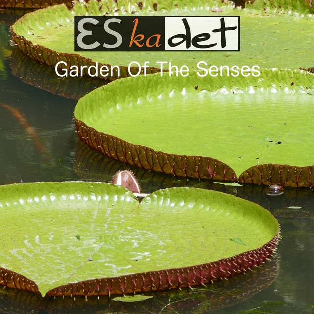 Couverture de Garden of the Senses