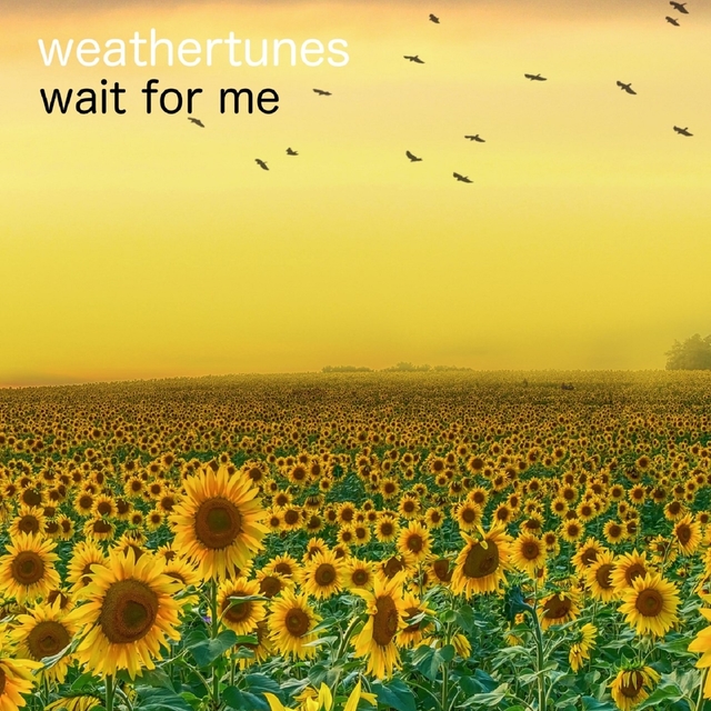 Couverture de Wait for Me