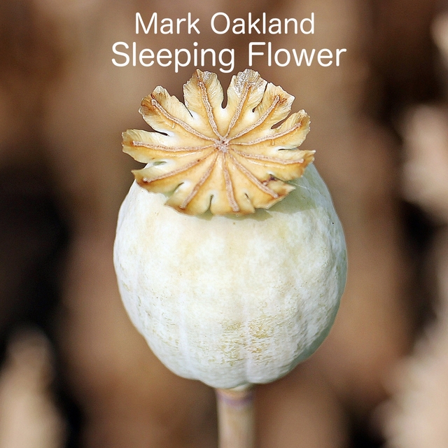 Couverture de Sleeping Flower