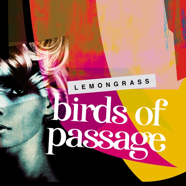 Birds of Passage