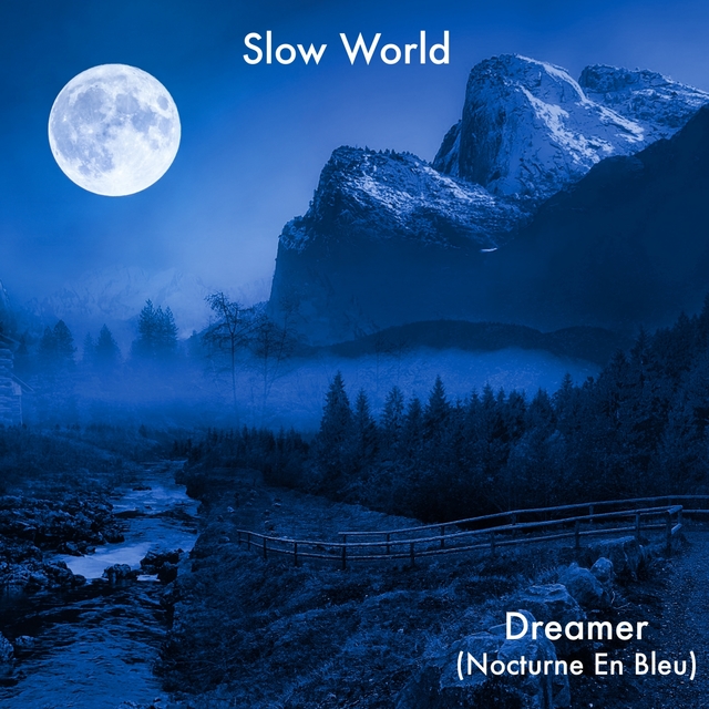 Couverture de Dreamer (Nocturne En Bleu)