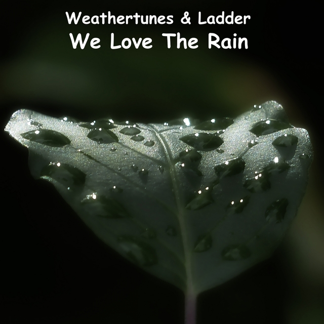 Couverture de We Love the Rain