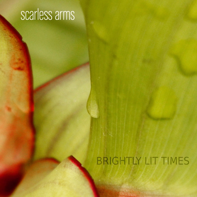 Couverture de Brightly Lit Times