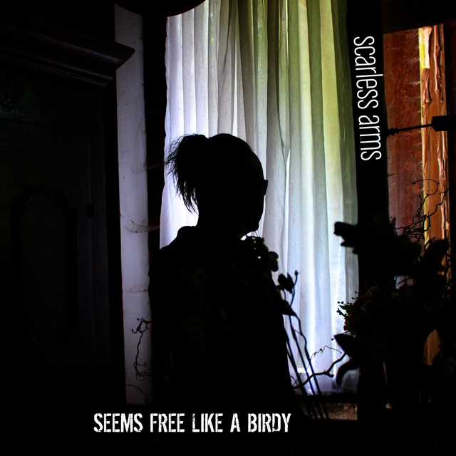 Couverture de Seems Free Like a Birdy