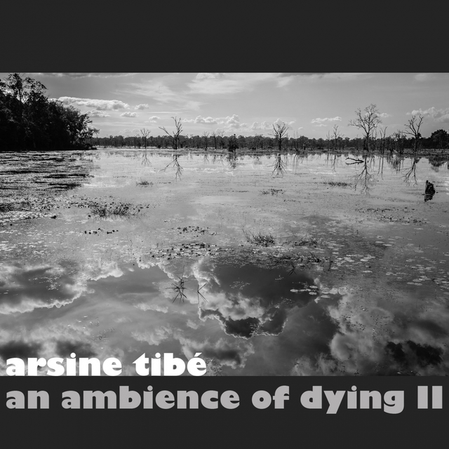 An Ambience of Dying II