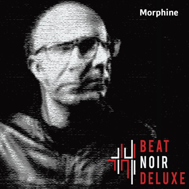 Couverture de Morphine