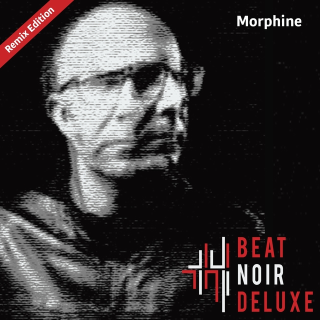 Couverture de Morphine