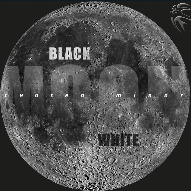 Black White Moon