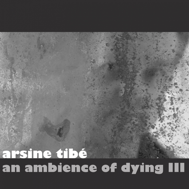 Couverture de An Ambience of Dying III