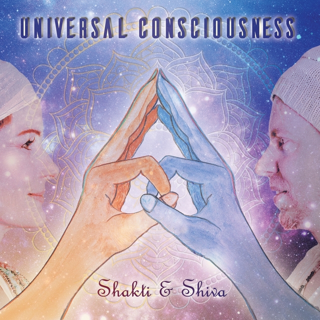 Couverture de Universal Consciousness