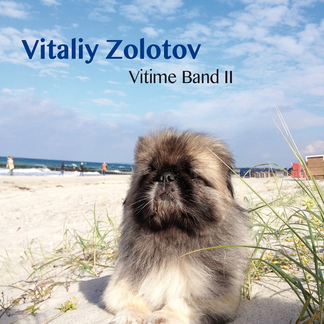 Couverture de Vitime Band II