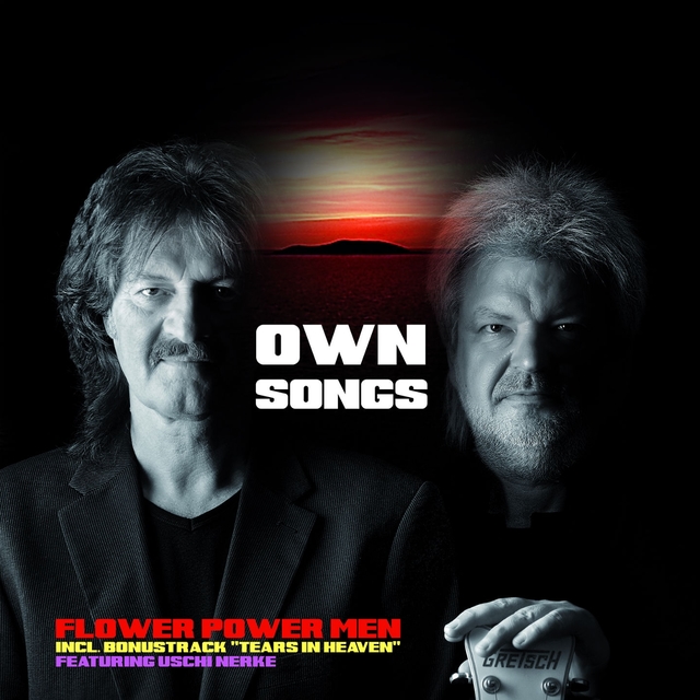 Couverture de Own Songs