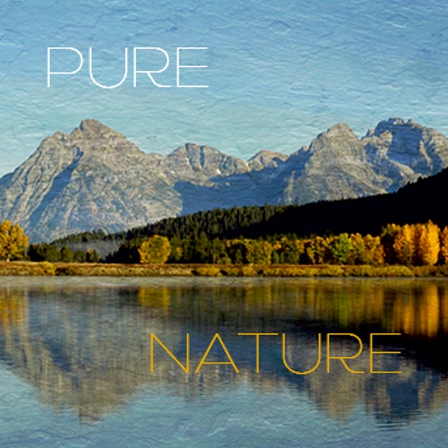 Couverture de Pure Nature