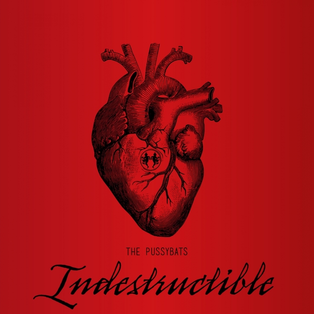 Couverture de Indestructible