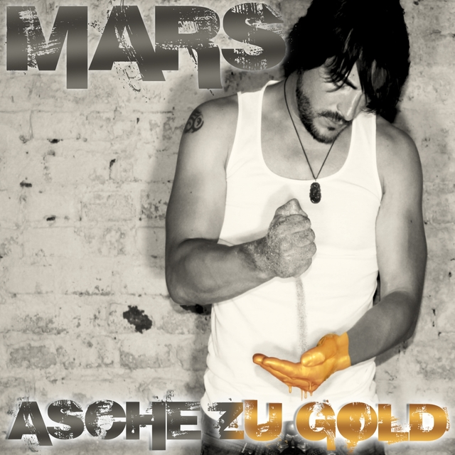 Couverture de Asche zu Gold