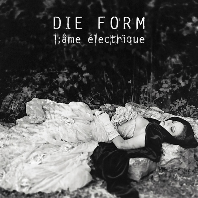 L'ame Electrique