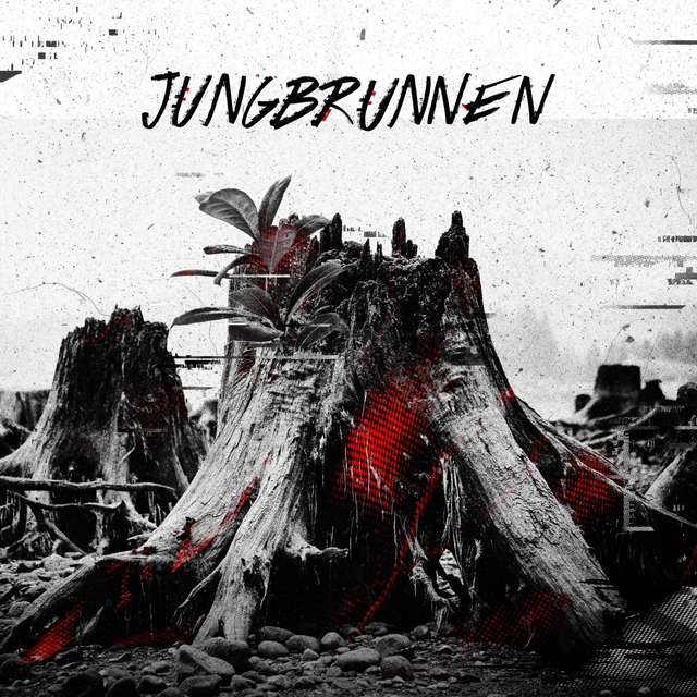 Couverture de Jungbrunnen