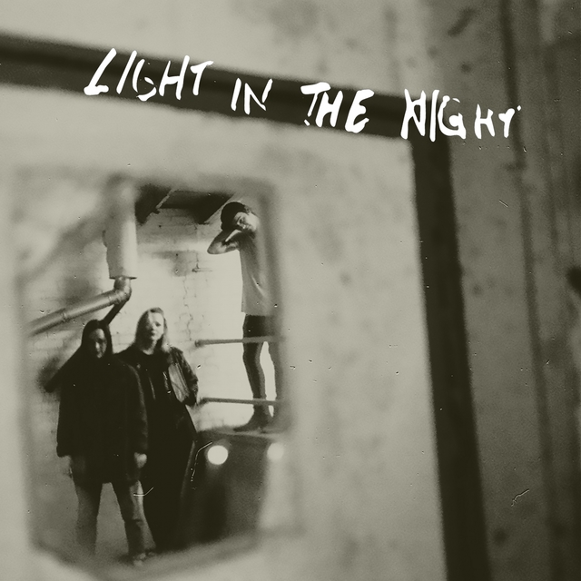 Couverture de Light in the Night (Lies)