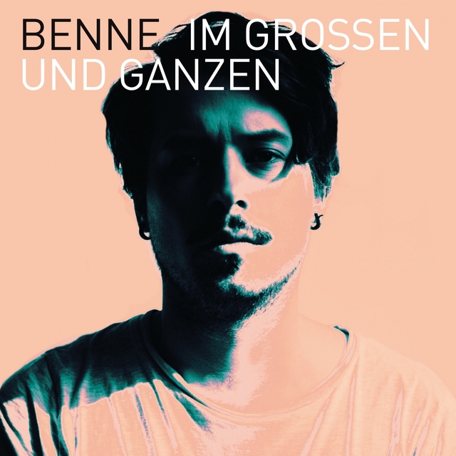 Couverture de Im Großen und Ganzen