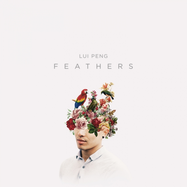 Couverture de Feathers