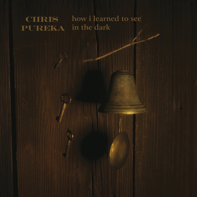 Couverture de How I Learned to See in the Dark