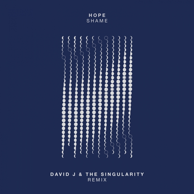 Couverture de Shame (David J & The Singularity Remix)