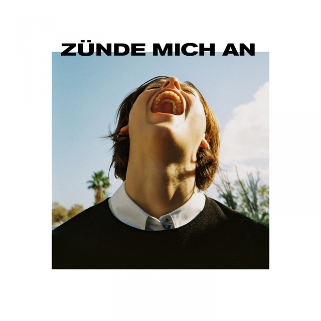 Couverture de Zünde mich an