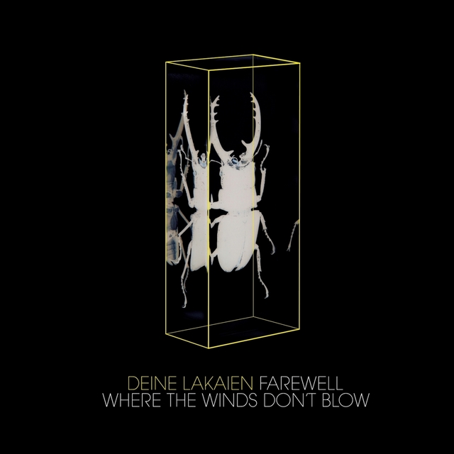 Couverture de Farewell/Where the Winds Don't Blow