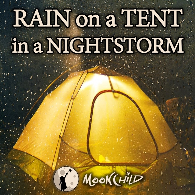 Couverture de Rain on a Tent in a Nightstorm