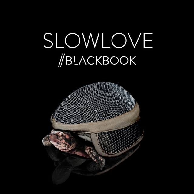 Couverture de Slowlove