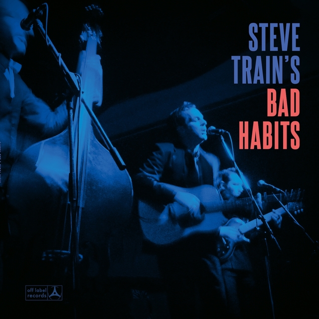 Couverture de Steve Train's Bad Habits