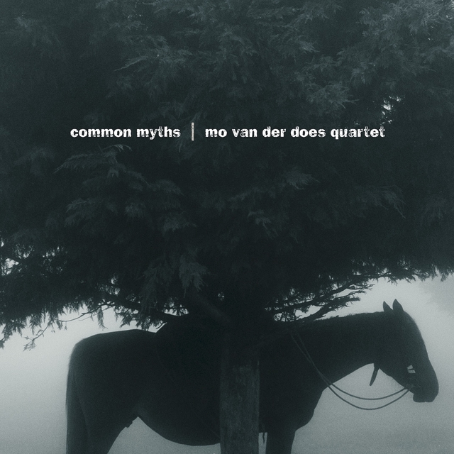 Couverture de Common Myths