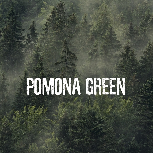 Couverture de Pomona Green