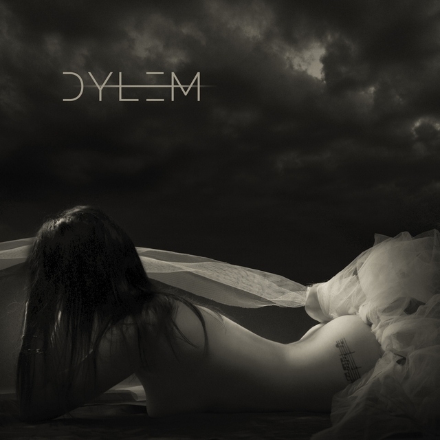 Couverture de Dylem