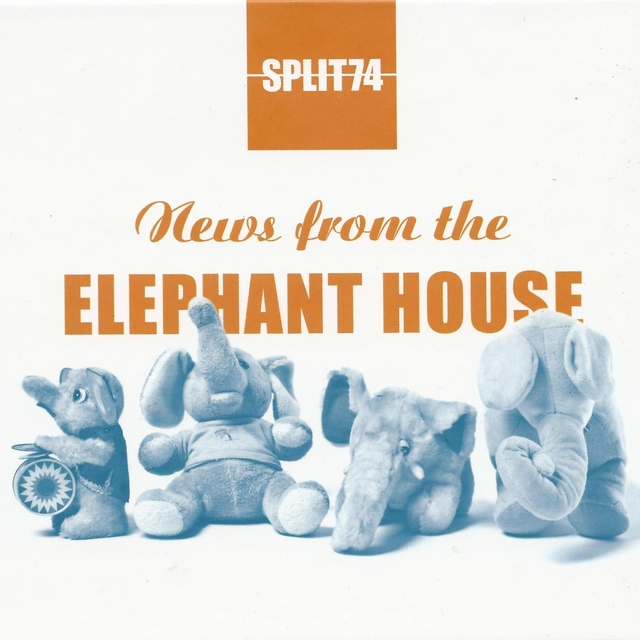 Couverture de News from the Elephant House