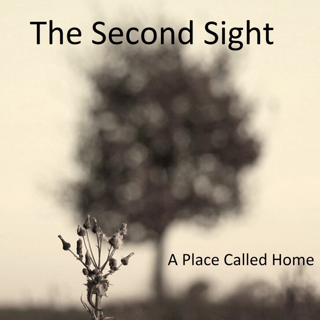 Couverture de A Place Called Home