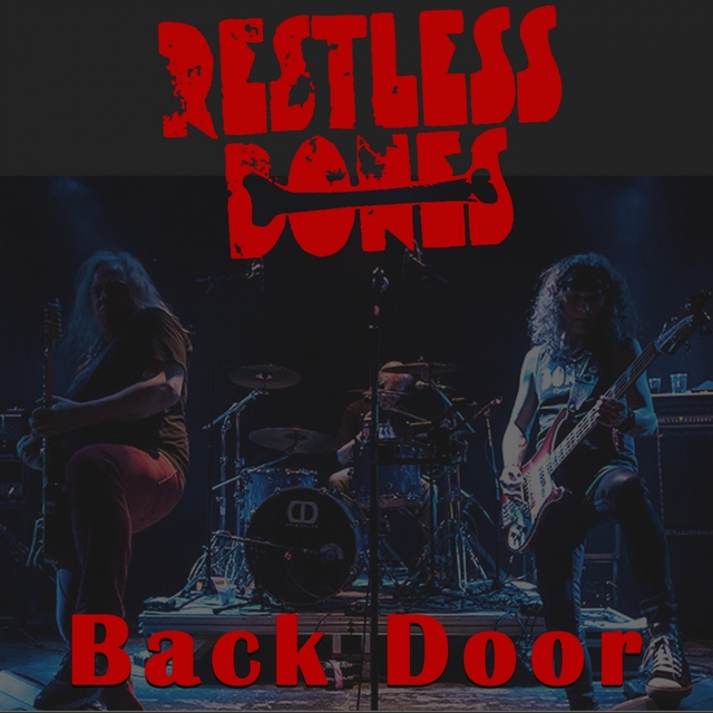 Couverture de Back Door