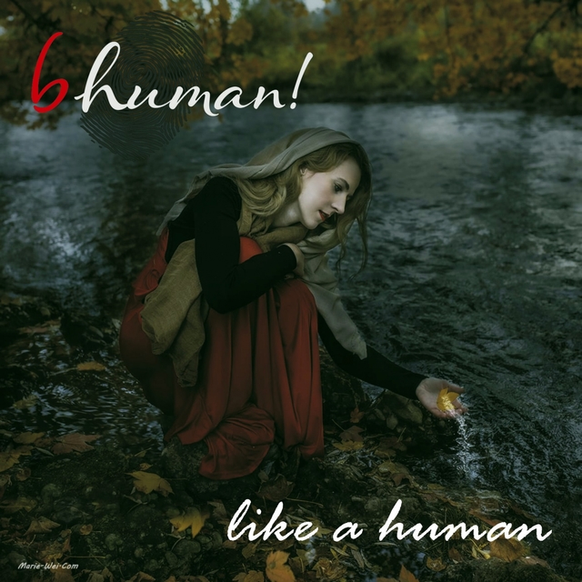 Couverture de Like a Human