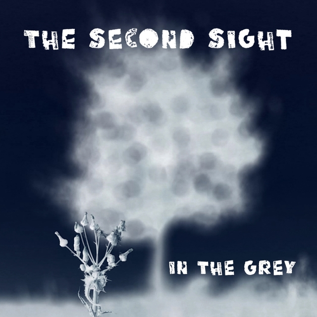 Couverture de In the Grey