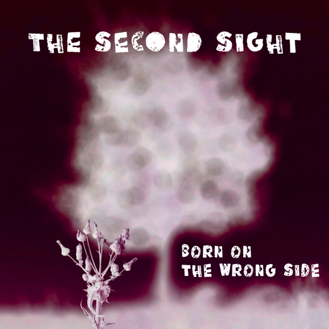 Couverture de Born on the Wrong Side