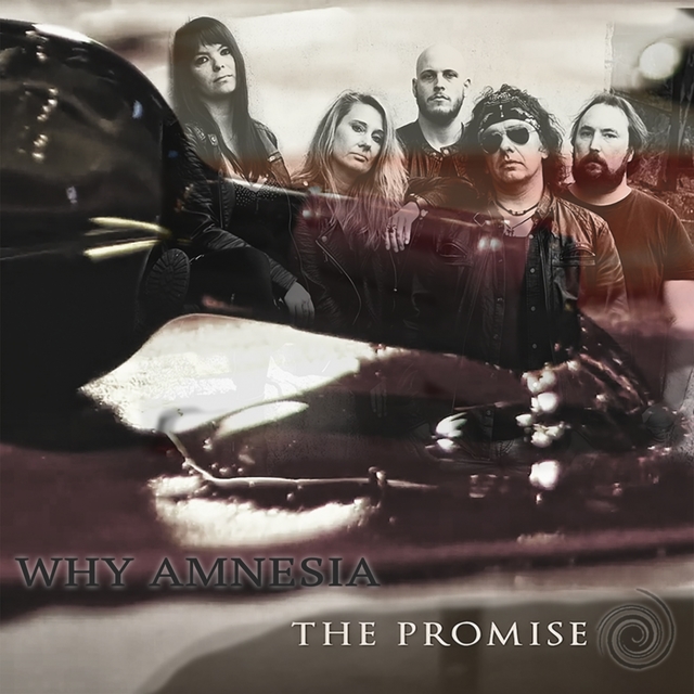 Couverture de The Promise