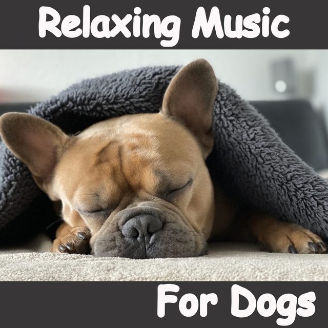 Couverture de Relaxing Music for Dogs