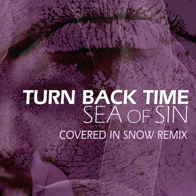 Couverture de Turn Back Time