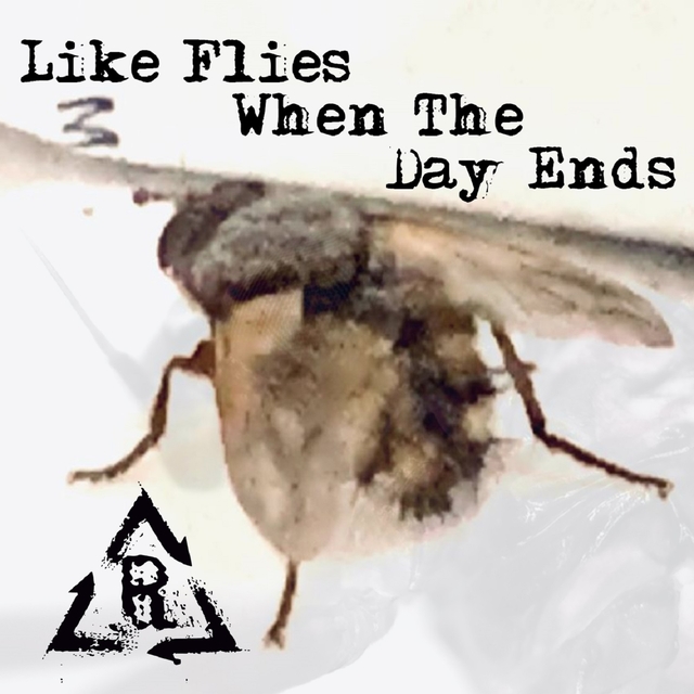 Couverture de Like Flies When the Day Ends